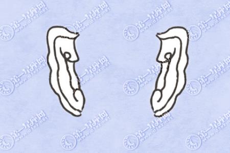 202311150830053696.jpg