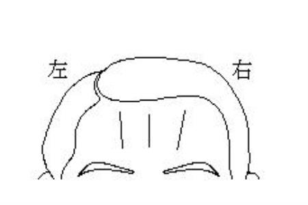 3-1Z5251G203559.jpg