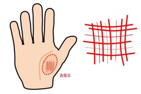 1735648353197903.jpg