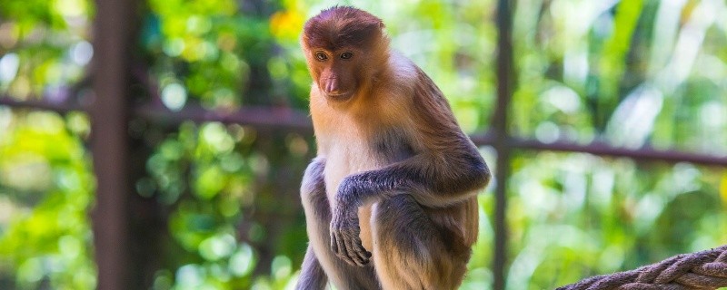 [图: 2c2a027e148aa79f.jpg]