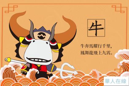 [图: 599147f8656473800208.jpg]