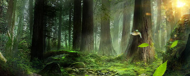 [图: 9172d0a7b94ab0ae.jpg]