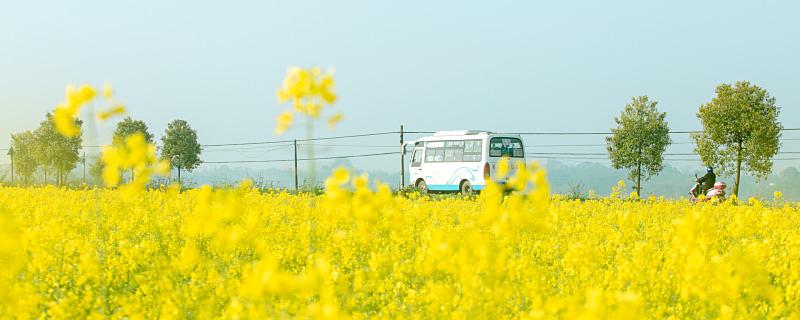 [图: c217d159f1d60177.jpg]