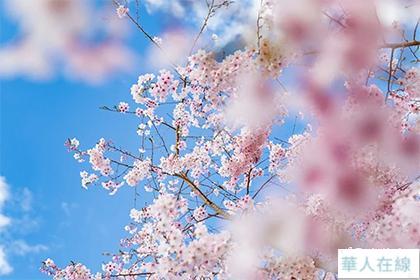 [图: ed71f246531e8cf6cbf9.jpg]