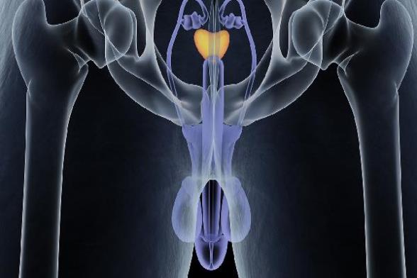 o4YBAGnEJXiAWQM8AABtEKRrsx0920.jpg