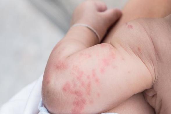 o4YBAGnELU-AblEmAAA-uDdqR6I523.jpg