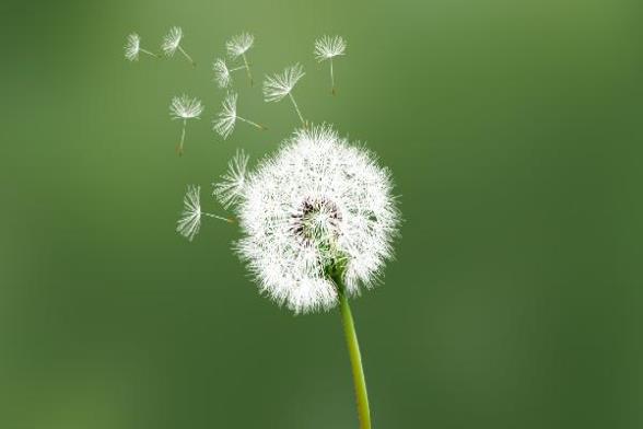 oYYBAGoLLwKAGiXfAABC-3LoX2o863.jpg