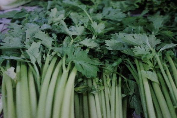 ooYBAGnEEPiAcz9PAAD9U24Bn0w267.jpg