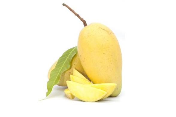 ooYBAGnEMuiASo5JAAAshD8unB4264.jpg
