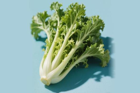 ooYBAGnEYSOABUBsAABWcXALdFY606.jpg