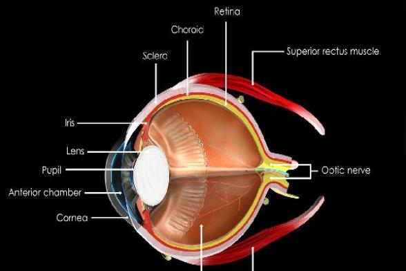 ooYBAGoLFFiAGpmVAABmRBlSQRU450.jpg