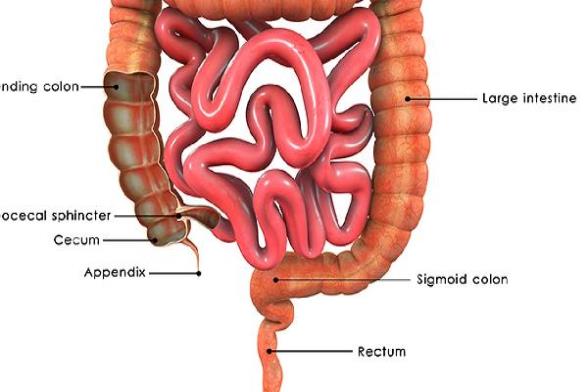 ooYBAGoLaaaAQMohAAB3qm9iV8k463.jpg